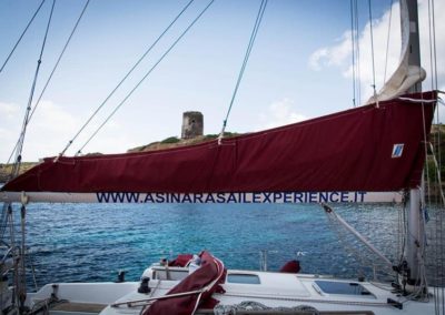 Asinara escursioni - Partenza dal porto di Stintino. Prenotazione escursioni con Asinara Sail Experience.