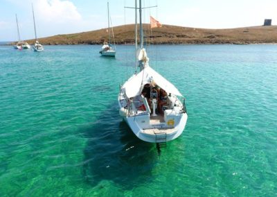 Escursioni Asinara - Gite in barca nel parco nazionale dell'asinara - Asinara Sail Experience - gli animali
