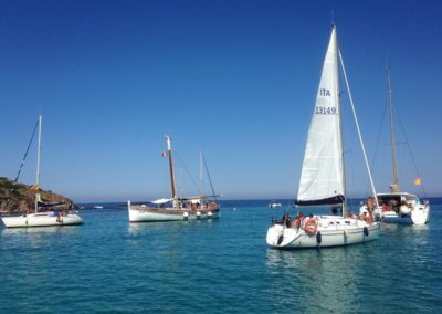 Escursioni Asinara - Barche a vela nelle acque dell'Asinara Stintino - Gite in barca nel parco nazionale dell'asinara - Asinara Sail Experience - gli animali - Tour Asinara